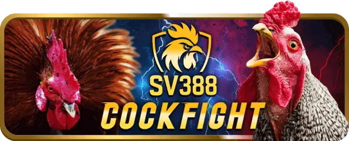 Mẹo chơi game bài lk68 hiệu quả